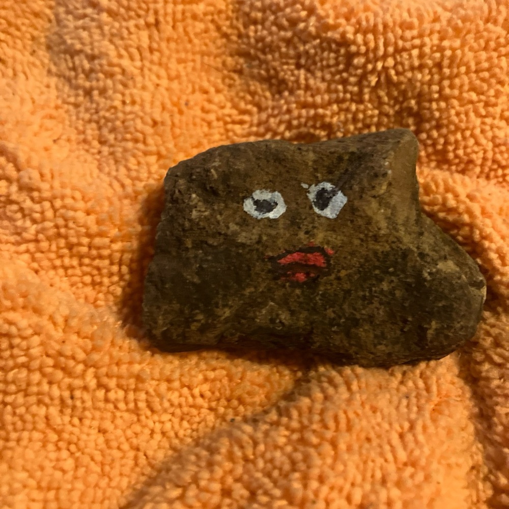 Pet rock